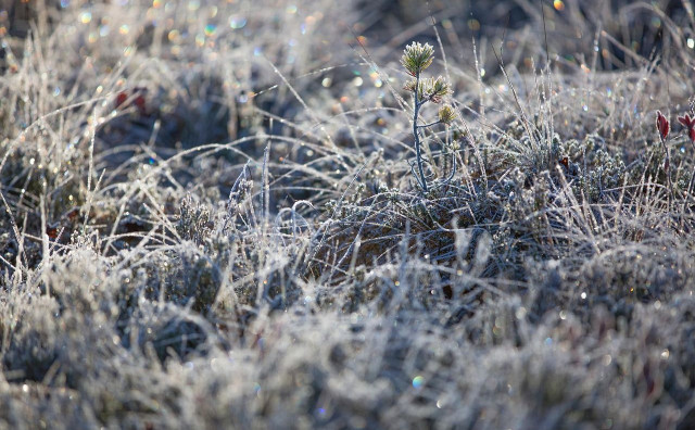 Hladni val stiže i u Hercegovinu, očekuje nas bura, pad temperatura i mogući snijeg na planinama