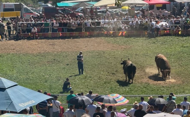 Mladić na koridi izgubio novčanik, ljudi mu skupili više nego što je imao