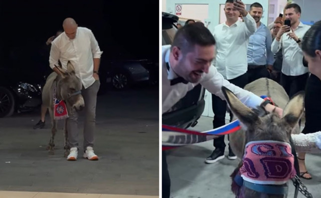 Na svadbi kod Mostara pojavio se magarac, kum je za iznenađenje imao dobar razlog