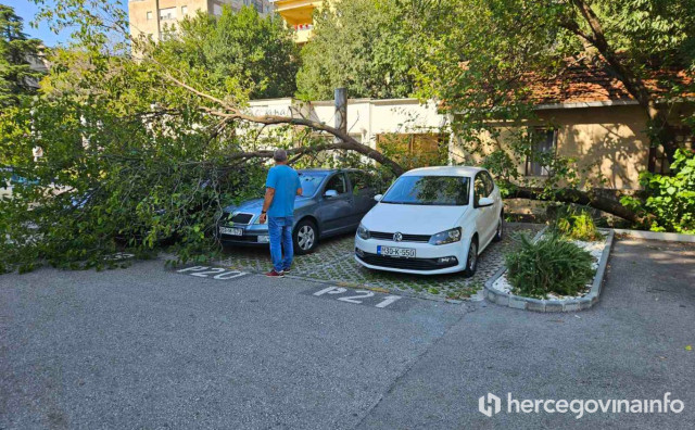 Tri vozila oštećena nakon pada stabla kod zgrade Vlade HNŽ u Mostaru