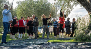 Zatvoreni 'Dani berbe maslina u Hercegovini'