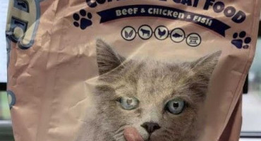 Federalna inspekcija zabranila uvoz 9 tona hrane za mačke