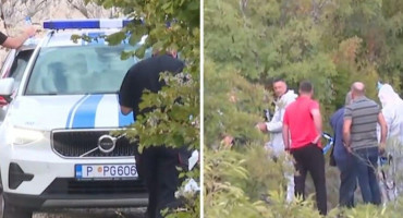 Ubojstva dvojice Škaljaraca kod Cetinja