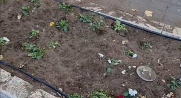 Uništeno i iščupano cvijeće u Parku nobelovaca