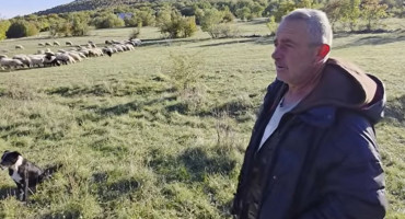 Zoran već 23 godine čuva ovce na Gorancima