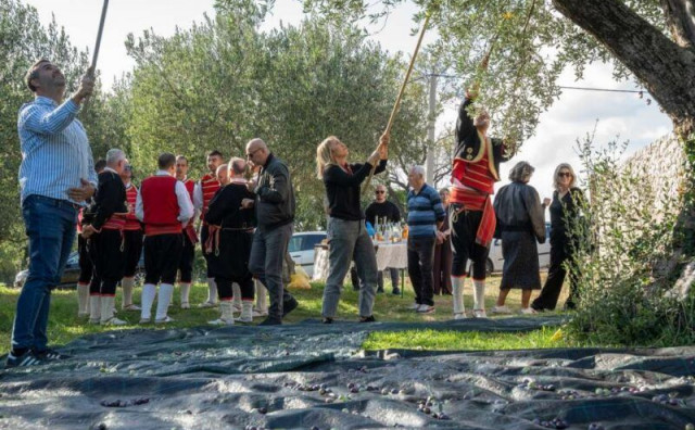 Zatvoreni 'Dani berbe maslina u Hercegovini'