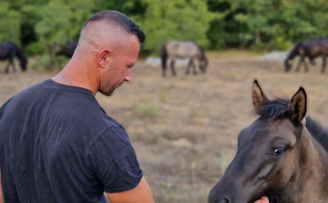 Braća Šutalo učetverostručila broj zaštićenih konja na ergeli kod Stoca
