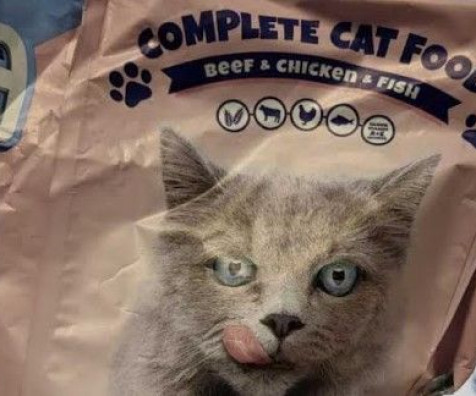 Federalna inspekcija zabranila uvoz 9 tona hrane za mačke
