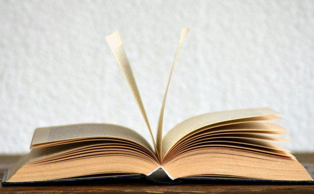 Promocija romana 'Orlovača' na Sveučilištu Hercegovina