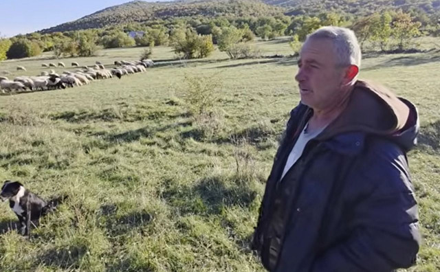 Zoran čuva 400 ovaca na Gorancima – život koji nestaje