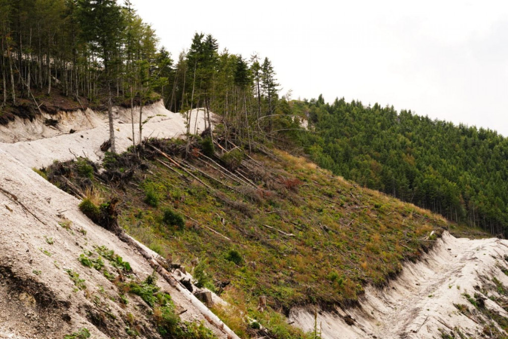 Mladi za kupres magenzij