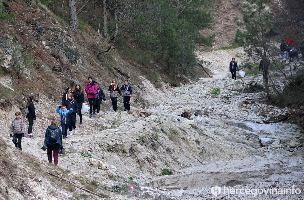 pošumljavanje Konjic