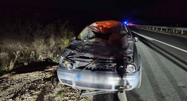 Automobil udario kravu