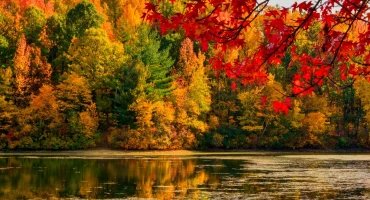 Narednih dana uživajte u pravoj i idiličnoj jeseni