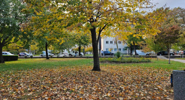 Vremenska prognoza za Mostar i Hercegovinu - 30.11.2025