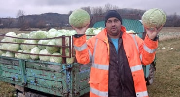 Jure Petrović Rakitno kupus