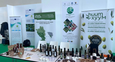 Maline, maslinovo ulje