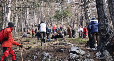 Najveća volonterska akcija pošumljavanja počela u Hercegovini, u Konjicu zasađeno 2.000 sadnica