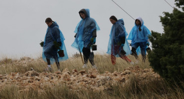 Sadnja drveća Fortica