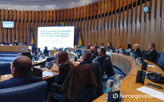 Predstavljeni rezultati analiza zbog čega je došlo do pomora ribe u Neretvi