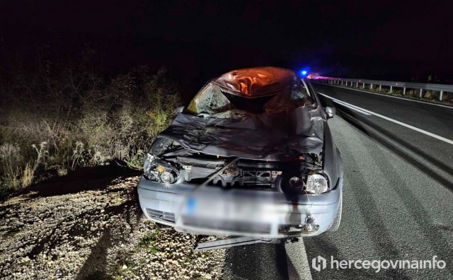 Automobil usmrtio kravu na cesti između Mostara i Širokog Brijega
