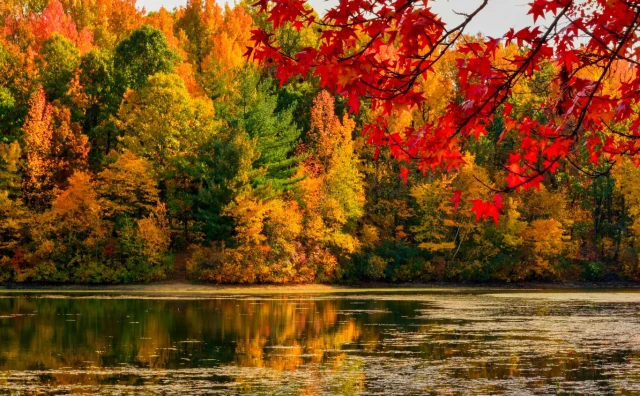 Narednih dana uživajte u pravoj i idiličnoj jeseni