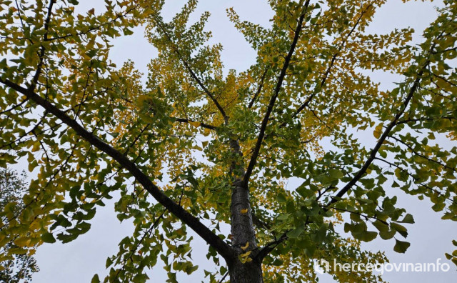 Vremenska prognoza za Mostar i Hercegovinu - 13.12.2025