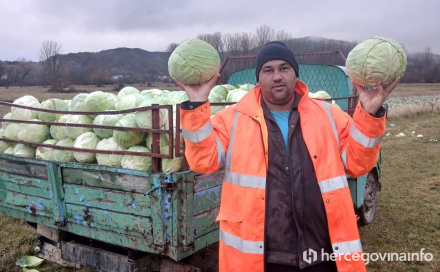 Jure iz Rakitna u prvoj godini plasirao gotovo 20 tona kupusa, sada kreće i s kiselim