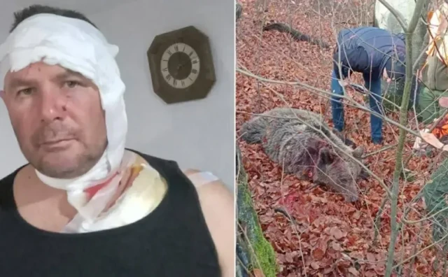 Lovac iz BiH preživio napad medvjedice: 'Bacila se na mene kao puma'
