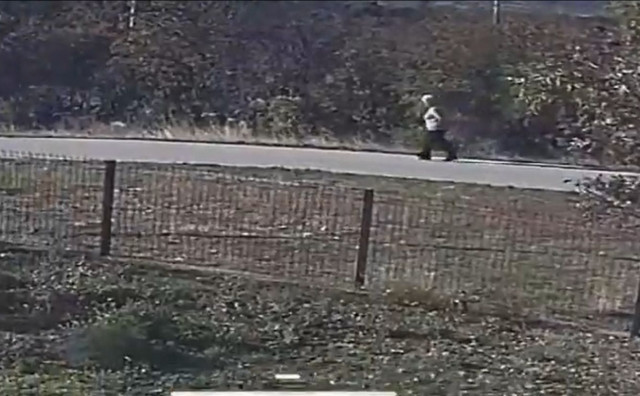 Nestala Fatima Džajić