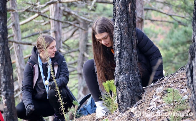 Mladi na požarištima zasadili 8.000 sadnica, najavljene nove akcije u Ljubuškom, na Blidinju i na Rujištu