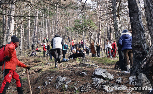 Najveća volonterska akcija pošumljavanja počela u Hercegovini, u Konjicu zasađeno 2.000 sadnica