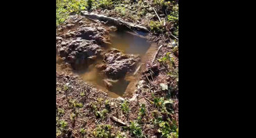 Fekalije u parku na Bijelom brijegu