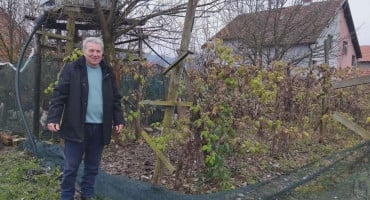 maline Ivan Stojanović