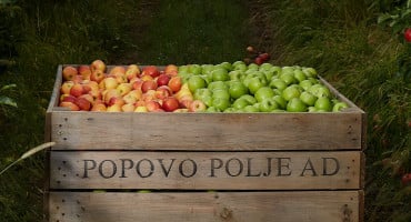 Popovo Polje AD