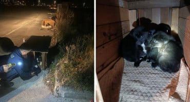 Vatrogasci Mostar štenci