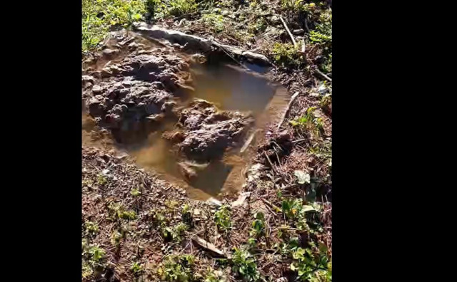 Fekalije u park šumi Trimuša na Bijelom brijegu