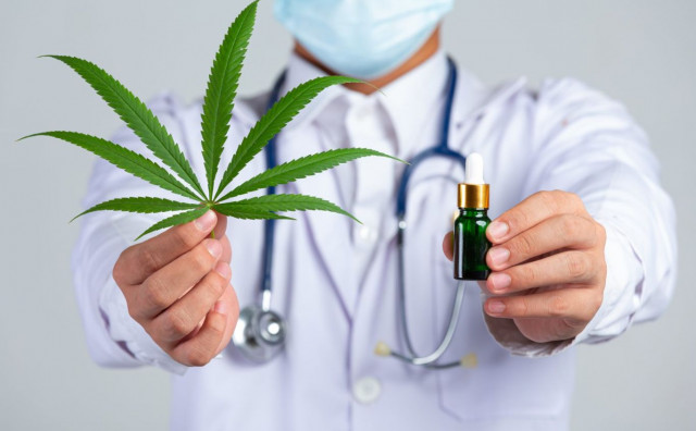 Usvojena odluka o legalizaciji kanabisa u medicinske svrhe
