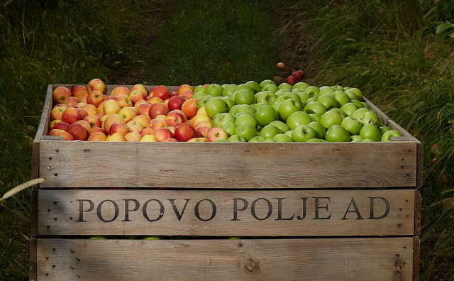 Popovo polje širi voćarsku proizvodnju: Dokapitalizacija od 200 tisuća KM kroz javnu ponudu dionica