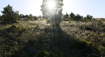 sunce trava Hum vrijeme zima