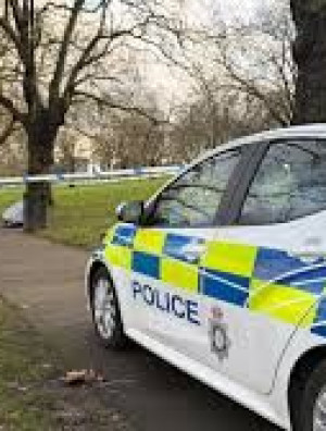 Pakistanac silovao 18-godišnju Britanku, sud zabranio izvještavanje o imigracijskom statusu