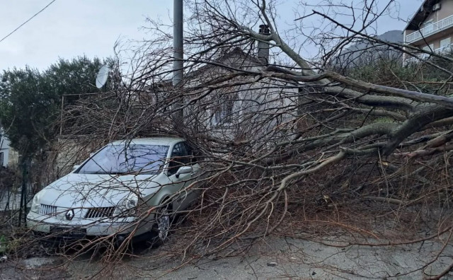 Vatrogasci u Ljubuškom i Grudama uklanjali oborena stabla nakon nevremena