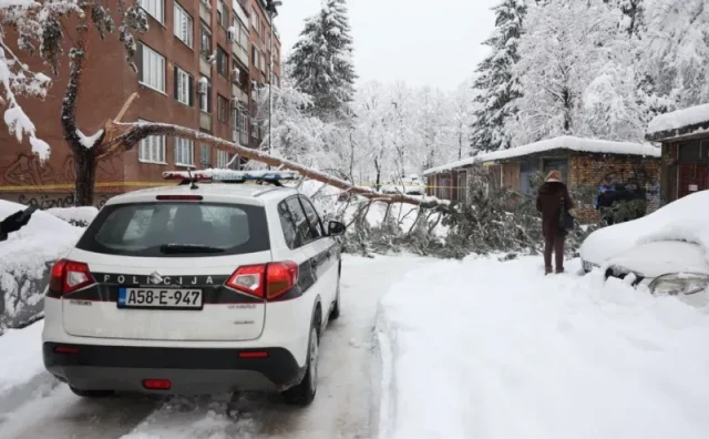 Stablo usmrtilo mladu ženu u Sarajevu