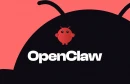 OpenClaw 