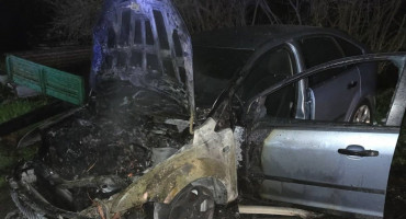 gorio automobil Lišani