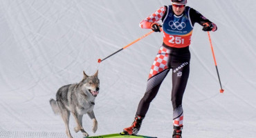 Hrvatska skijašica Tena Hadžić