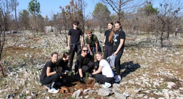 Pošumljavanje u Ljubuškom