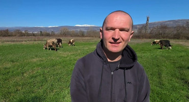 Toni Zelenika Biograci