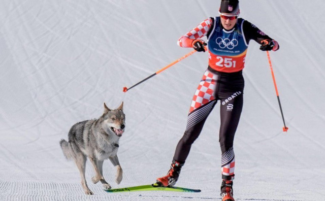 Hrvatska skijašica Tena Hadžić