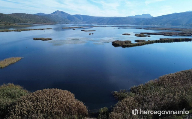 Može li Hutovo blato postati regionalno središte birdwatchinga?